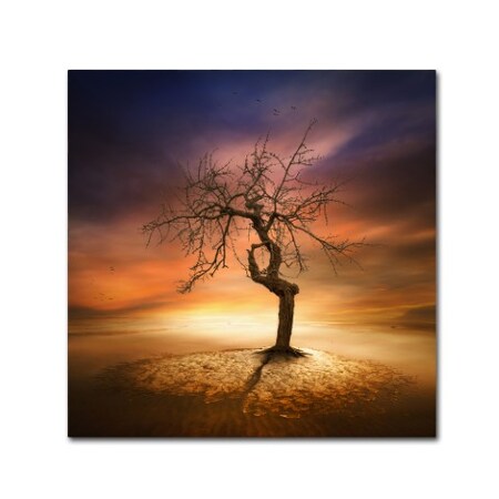 Trademark Fine Art Piotr Krol 'Lonely' Canvas Art, 18x18 1X03362-C1818GG